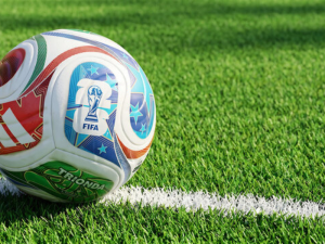 world cup grass